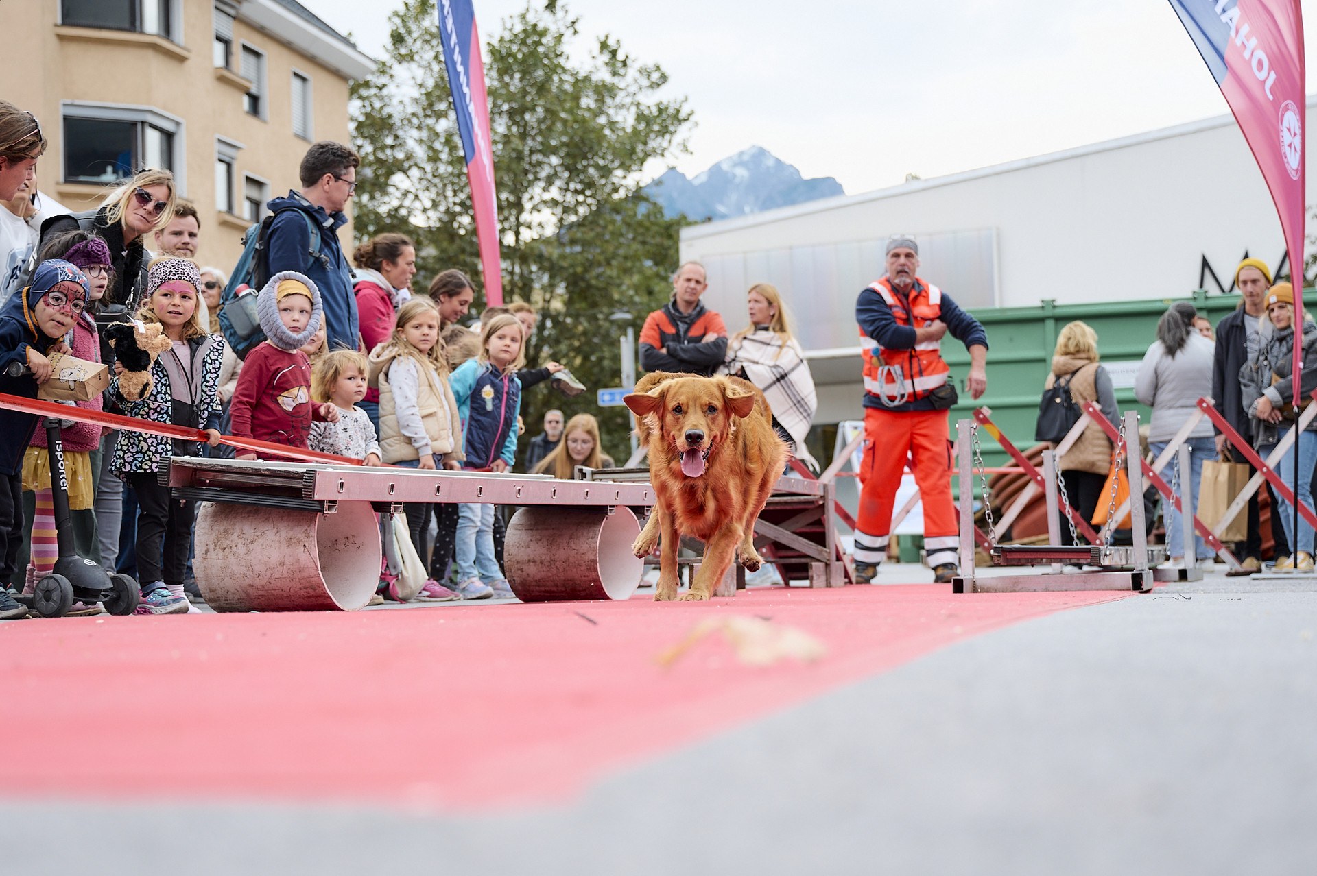 Ein Rettungshund läuft auf die Kamera zu während der Vorführung.